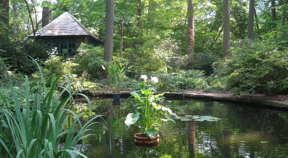 Merion Botanical Park, United States